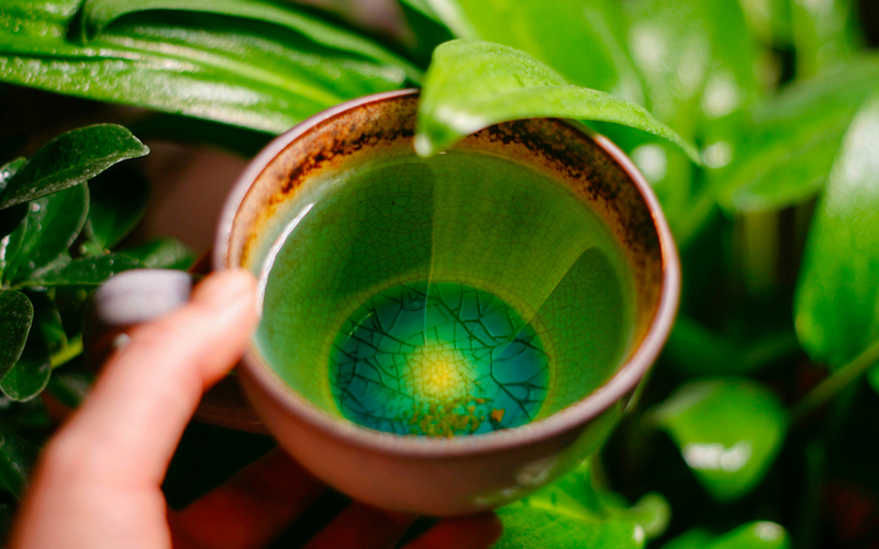 日本茶