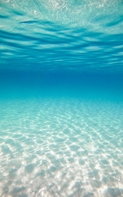 海